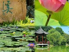 -云溪植物园