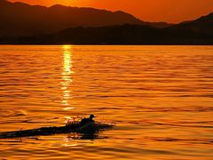 -西湖外事游船(湖滨二公园外事游船码头)