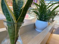 -好利来(光华中心店)