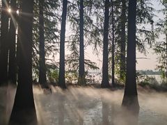 -东湖落雁景区