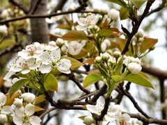 -梁鸿国家湿地公园