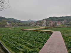 -红山村