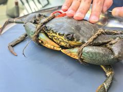 -Ministry of Crab•MOC(交子大道店)