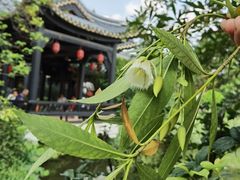 -岭南和园