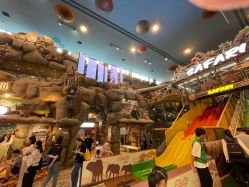 -卡通尼·Safari非洲探索乐园·生日会(金桥国际商业广场店)