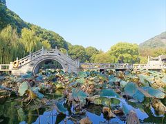-灵岩山风景区