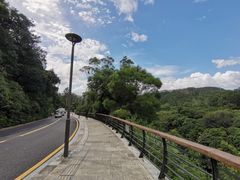 -深圳仙湖植物园-停车场