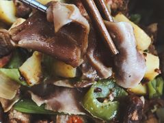 -知春路(地铁站)