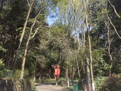 -杭州半山国家森林公园