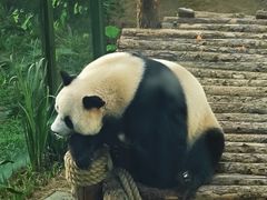 -大连森林动物园