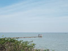 -贡湖湾湿地公园