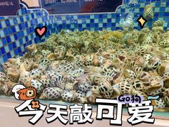 -欧记·龙城港(欣都店)