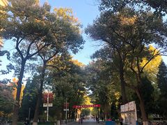 -北京邮电大学