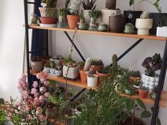 -卓花境Flowerwonderland花店