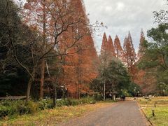 -宁海森林温泉