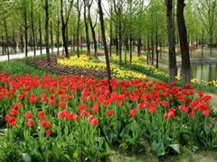 -石家庄市植物园