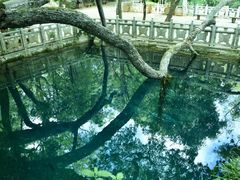 -蝴蝶泉公园