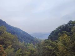 -韬光茶庵