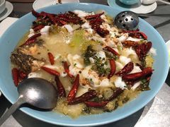-姚姚酸菜鱼·金戈戈香港豉油鸡(喜荟城联名店)