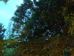 -大妙火锅·非物质文化遗产(东湖公园店)