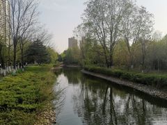 -长白岛森林公园