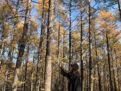 -白草畔自然风景区