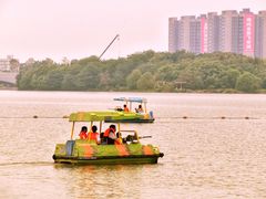 -飞来湖湿地公园