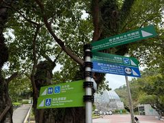 -石排湾郊野公园