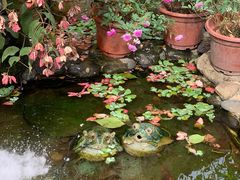 -园林美食城·本土农家菜(杨和镇店)