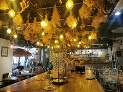 -共舞时光猫咖·狗咖(新街口店)