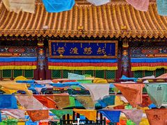 -大召寺明清一条街