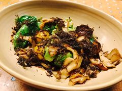 -State Bird Provisions
