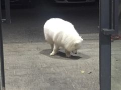 -老谭虾王蟹皇·龙虾·烧烤(蝴蝶湾店)