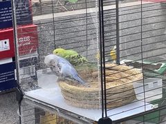 -庭院·冰煮羊·北京涮肉(西单店)