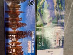 -池杉湖湿地公园