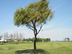 -南汇嘴观海公园