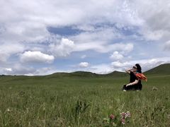 -乌兰布统草原