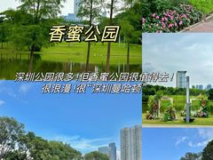 -香蜜公园
