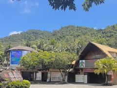 -海南槟榔谷黎苗文化旅游区