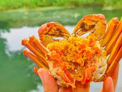 -欢乐蟹庄·精品农家乐(阳澄湖莲花岛店)