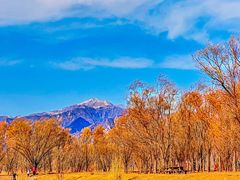 -野鸭湖国家湿地公园