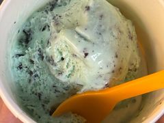 -iceason爱茜茜里·意大利健康冰淇淋(骑龙巷店)