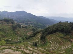 -紫鹊界梯田景区