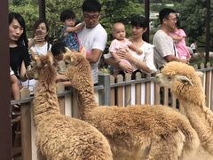 -泉州海丝野生动物世界