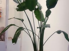 -开间茶馆·围炉煮茶
