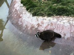 -泉州海丝野生动物世界