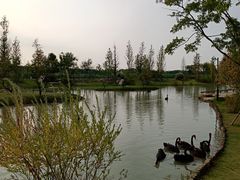 -祥源·阜阳生态乐园