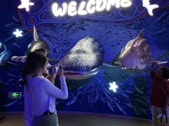 -烟台海昌鲸鲨海洋公园