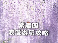 -嘉定紫藤园