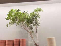 -胡麻(静安嘉里店)